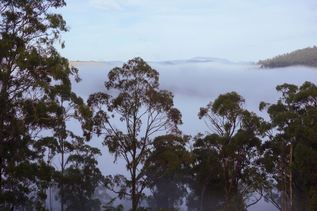 Black Bluff Rare Earth Tasmania