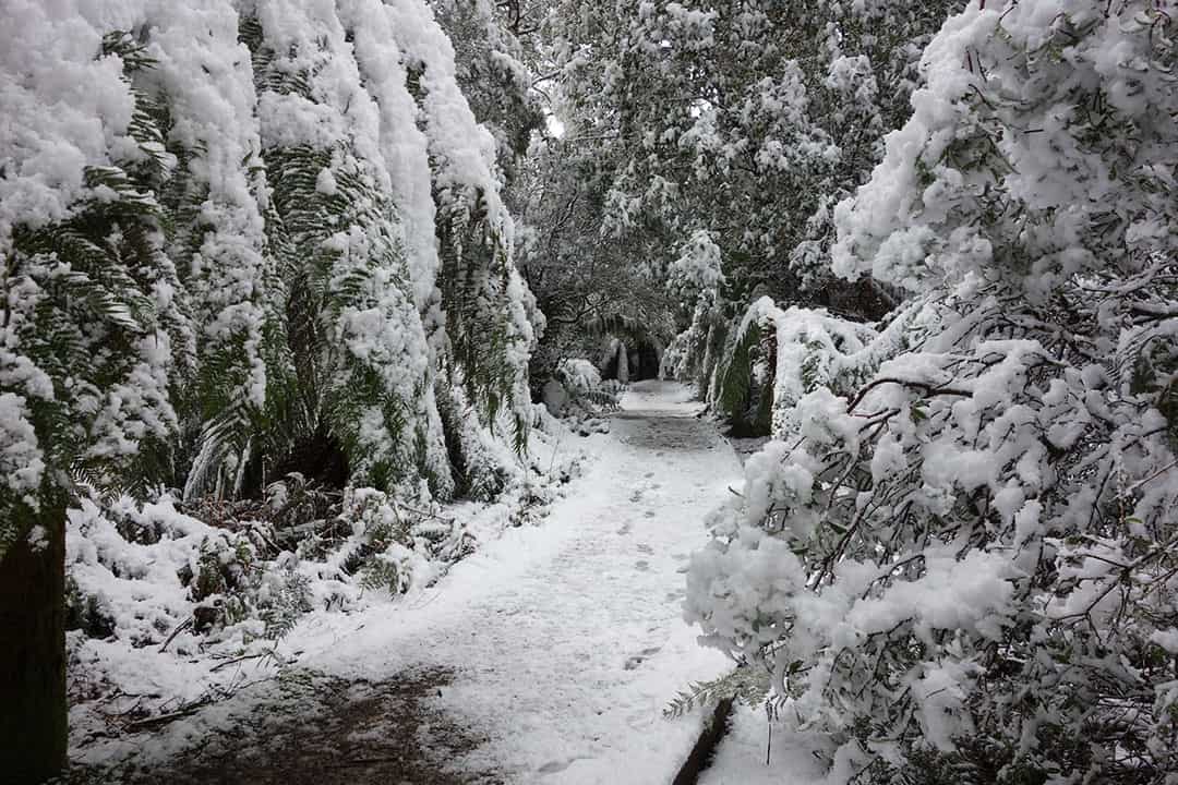 Black Bluff View Retreat Snow Rare Earth Tasmania