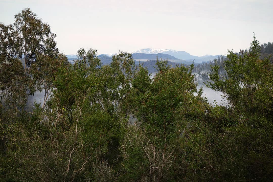 Black Bluff View Rare Earth Tasmania